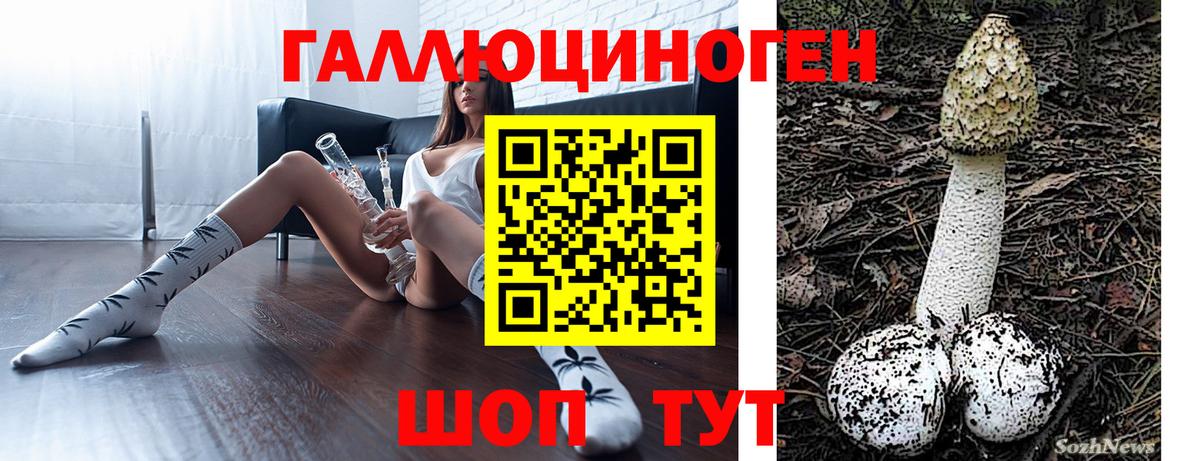Чебаркуль  Галлюциногенные грибы Magic Shrooms  Вход с VPN 
